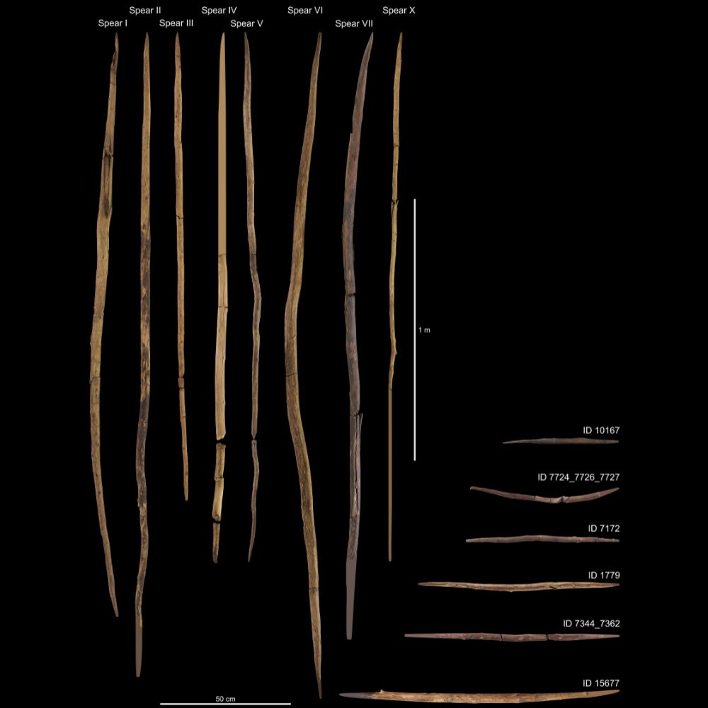 as famosas lanças de madeira encontradas em Schöningen, na Alemanha, datadas de cerca de 300 mil anos, exibem um centro de gravidade balanceado, lembrando as lanças olímpicas modernas.